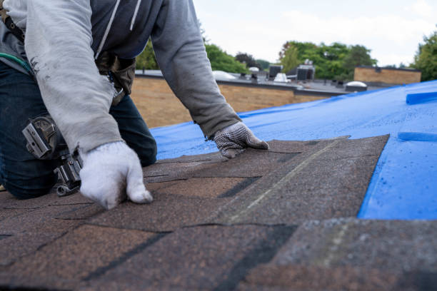 Best Roof Replacement Cost  in Claryville, KY