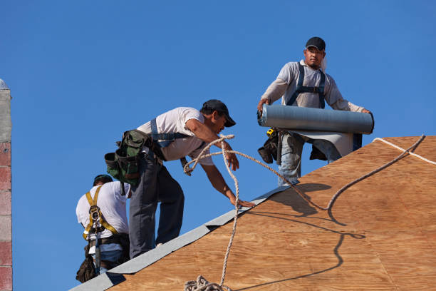 Best Roof Maintenance Services  in Claryville, KY