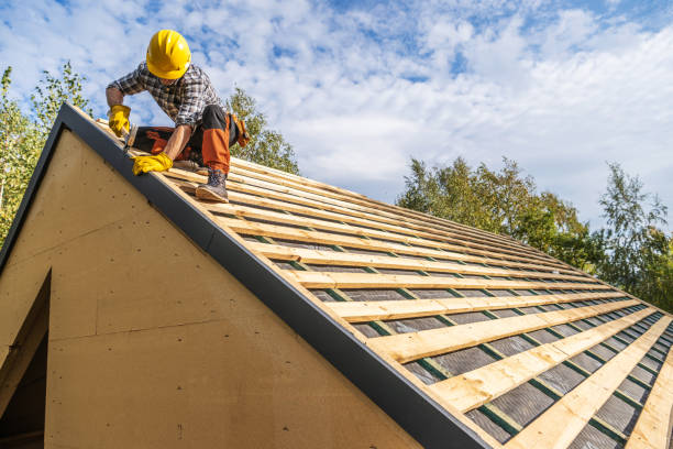Best Roof Gutter Cleaning  in Claryville, KY