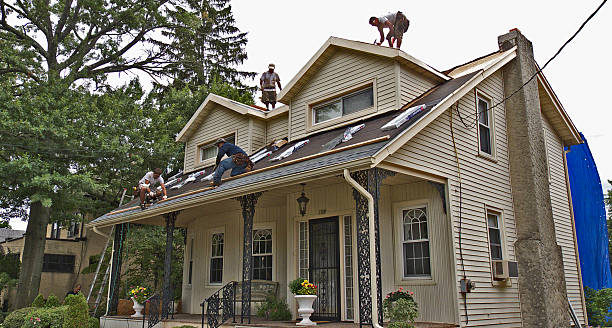 Best Metal Roofing Contractor  in Claryville, KY